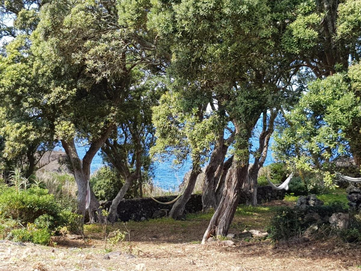 Quinta Da Falesia - Casa Branca Ponta Delgada Kültér fotó