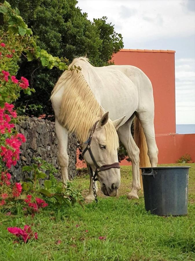 Quinta Da Falesia - Casa Branca Ponta Delgada Kültér fotó